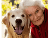 Benefits of Using Pawbiotix
